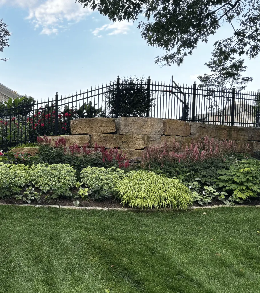 garden wall and iron fence with plants on param